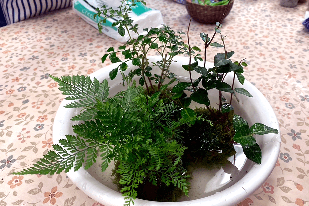 桶で水を吸わせる